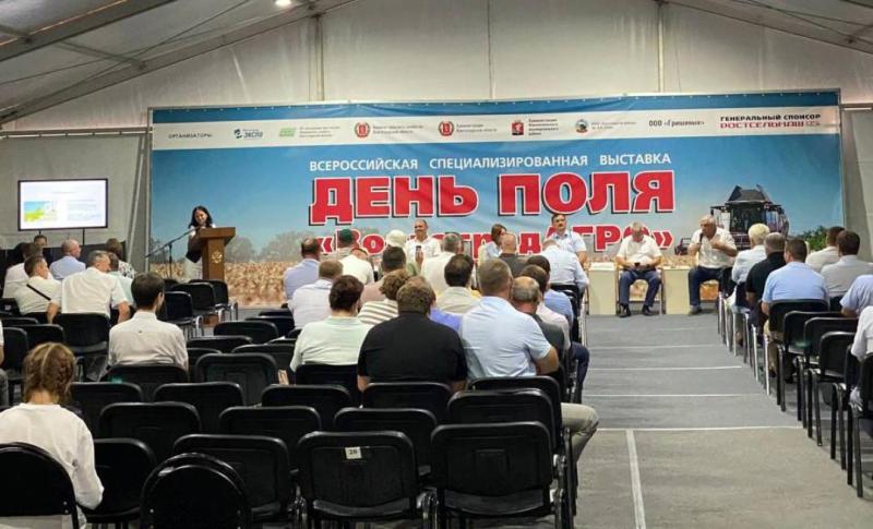 ДЕНЬ ВОЛГОГРАДСКОГО ПОЛЯ