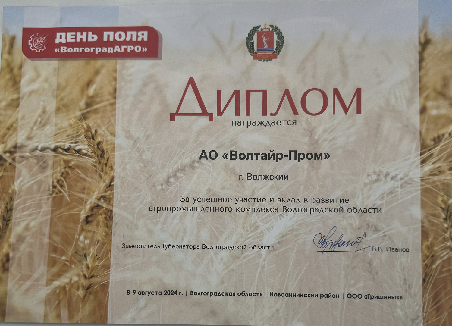 ДЕНЬ ВОЛГОГРАДСКОГО ПОЛЯ